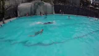 preview picture of video 'Villa Gregoria Resort Family Outing'