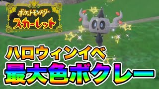 『ハロウィンイベント』にて最大サイズの色違いボクレーをゲットしてしまう男　【ポケモンSV】