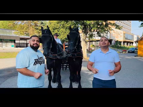 🎬Grundzovič Band - Šunes Man | VideoKlip - 2024🎬