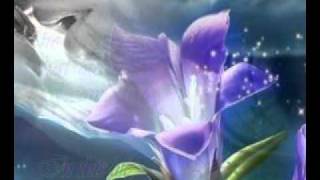 WESTLIFE - IN THIS LIFE