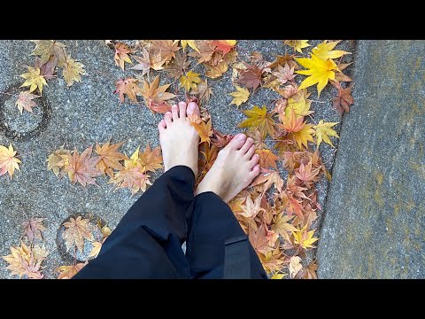 Barefoot Tokyo vol 186 #barefoot #mindfulness #tokyo