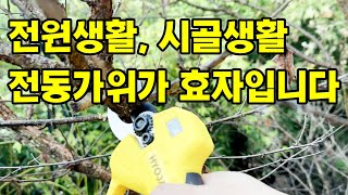 시골 생활 필수품 전동 가위 써 봤어요(효자  전동 전지가위 리뷰 및 사용기)