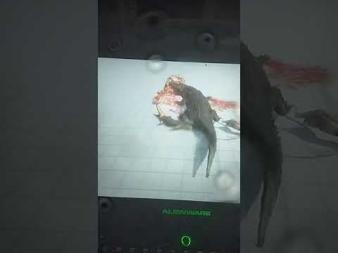 Purussaurus and Saltwater Crocodile Vs Lava Golem and Saber Ghoul animal revolt battle simulator