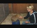 A Visit With Our Animal Partners