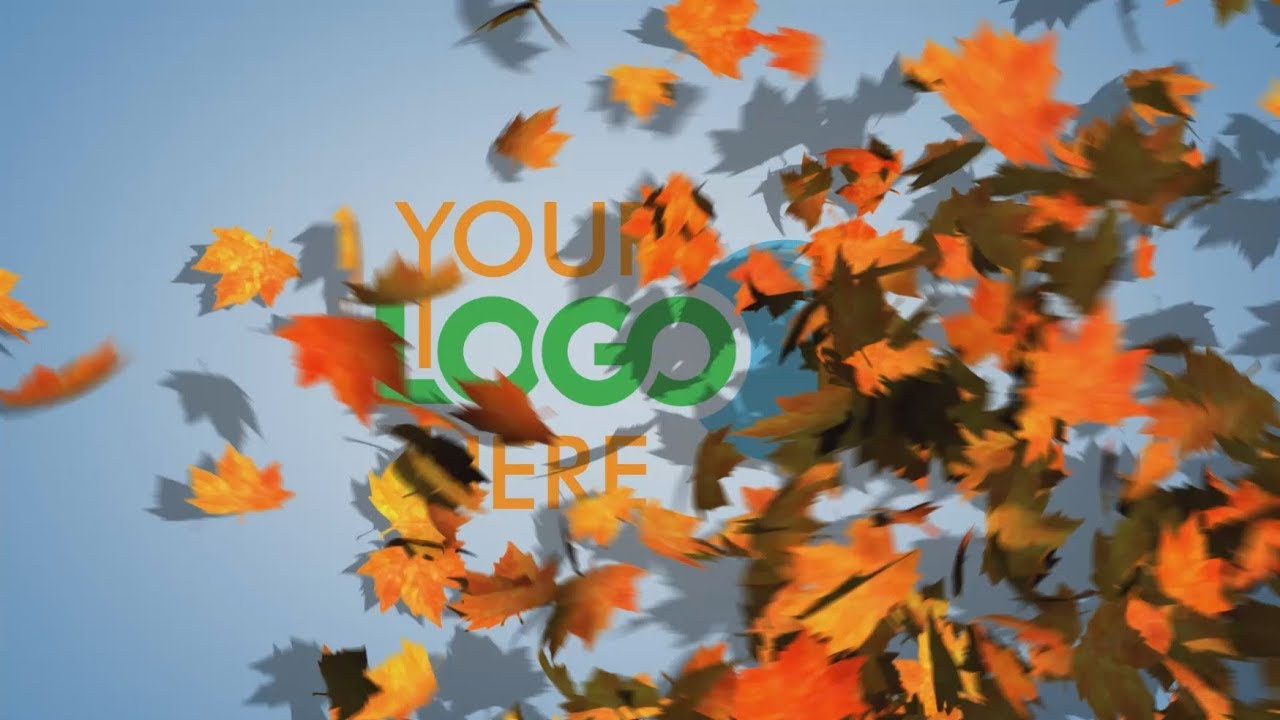 ID-0104 (Maple leaves reveal)