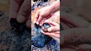 Download lagu pantesan biji buah b4tu ini sangat dicari orang, ternyata berisi buluh per1ndu #shortvideo #shorts mp3