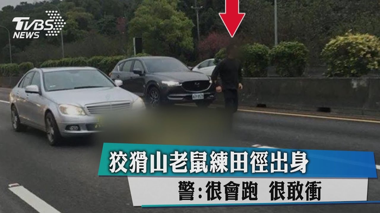 狡猾山老鼠練田徑出身 警:很會跑、很敢衝