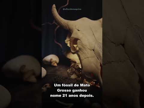 O peixe de 254 milhões de anos achado em Mato Grosso