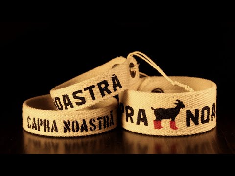 Vrajescu si ANAliza - Beraria Capra Noastra