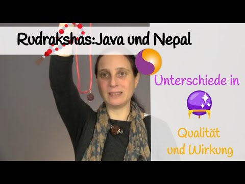 Rudrakshas aus Java (Indonesien) und Nepal (Himalaya) - Unterschiede in Qualität und Wirkung