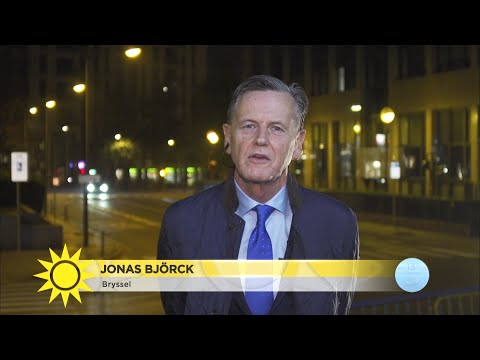 Direktrapport Bryssel: "Tongångarna om Brexit är väldigt pessimistiska här"  - Nyhetsmorgon (TV4)