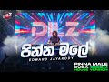 Pinna Male පින්න මලේ EDM Version Female Cover DILZ