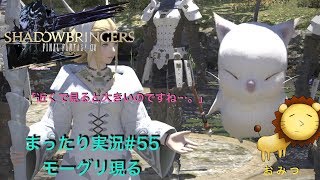 #55[ゲーム実況]FF14新生エオルゼアまったり初見プレイ「おみつ」