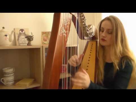 Taylor Swift - All You Had To Do Was Stay (Harp Cover)
