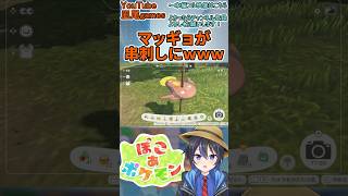 #shorts　ぽこあポケモン：ワープ事故で串刺しになるマッギョｗｗｗ