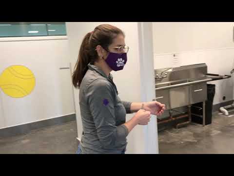 Petsuites Pearland Virtual Tour