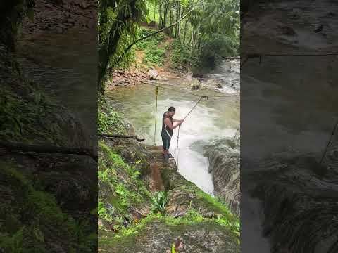 Hermosos tobaganes naturales … aquí en puerto rico caqueta