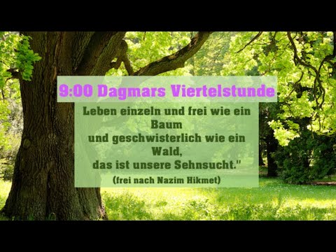 Dagmars 82. gute Viertelstunde  Freitag 11.9. 2020