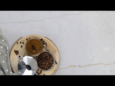 Magnus Oyster: Whispers of Elegance | Exclusives | Quartz | Asmi Surfaces