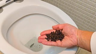 Put cloves in your bathroom and you won't believe what happens