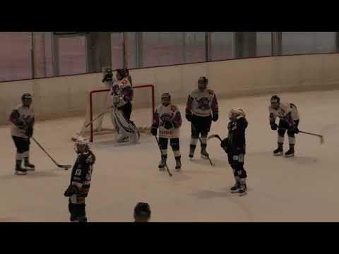 LIVE : Neuchâtel Hockey Academy - SC Reinach (Women's League)