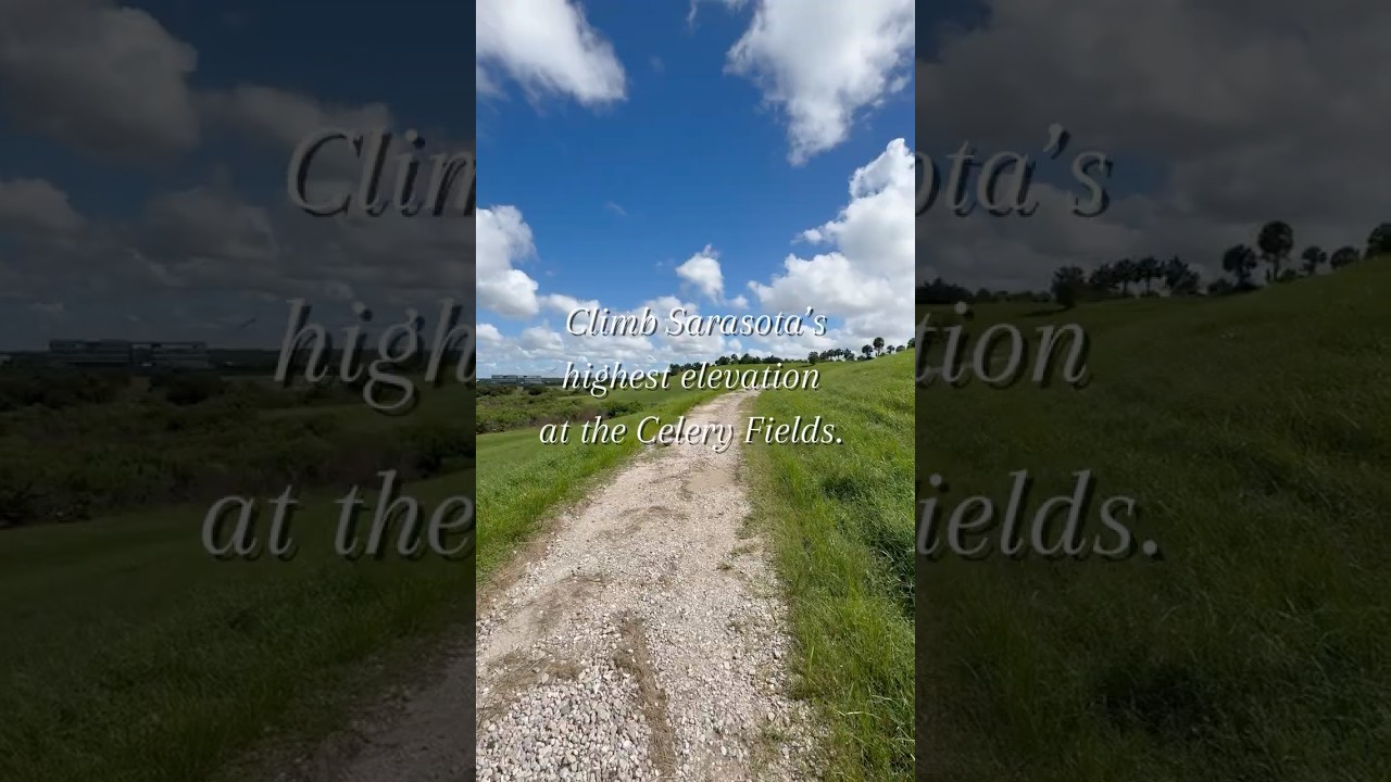 Discover the Beauty of Celery Fields!  | Sarasota’s Nature Escape