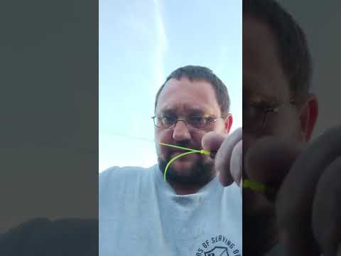 The only rig you'll ever need to catch a catfish