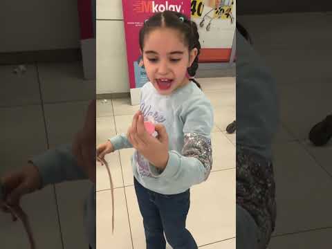 Cream or gum? #shorts #explore