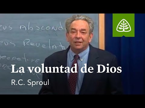 The Will of God: Foundations with R.C. Sproul
