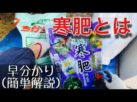 木の根元に灰を置いてもいいでしょうか？何のために ？特典＋申込方法  庭園