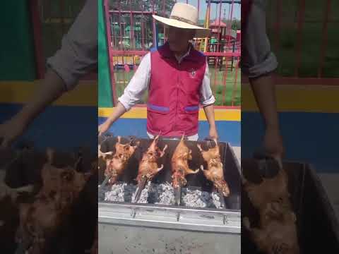 CUY AL.PALO , MUY TRADICIONAL EN LA PROVINCIA LA UNION AREQUIPA - PERÚ