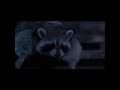 Great Outdoors Racoons