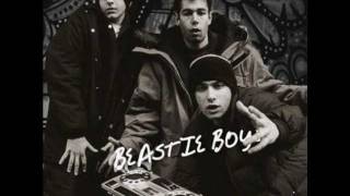Beastie Boys - Happy to Be in That Perfect Headspace R.I.P MCA