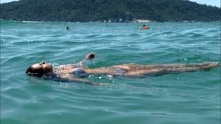 Mano Le Tough - The Sea Inside