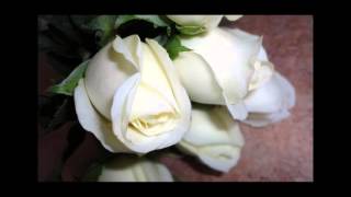 Los Tigres del Norte  Por que no pude enamorarme mas