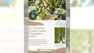 Tree Trimming Service in Australia | The Tree Doctor