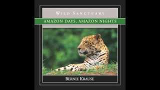 The Global Soundscape Project™: Amazon Days/Amazon Nights