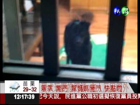 被愛犬反鎖! 主人呼喊快開門