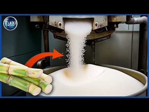 How Sugar is Made – Industrial Process of Sugar Cane for Making Crystal Sugar