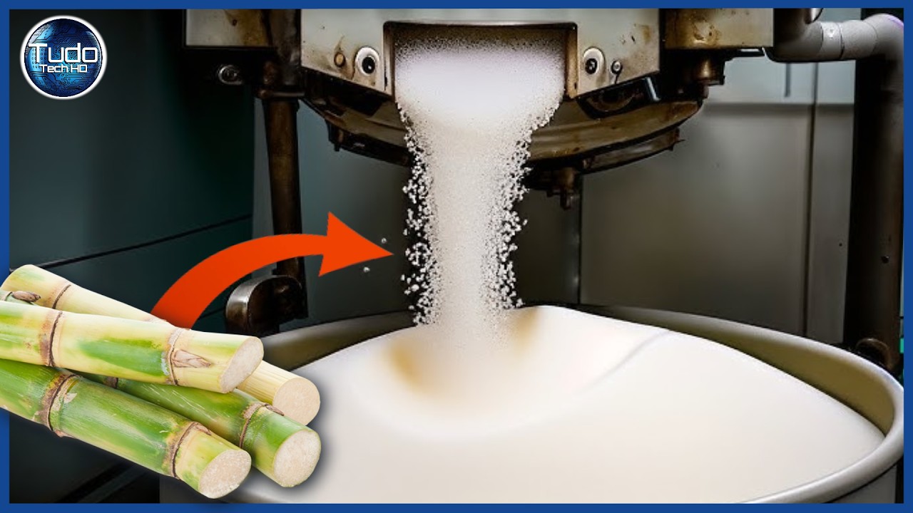 How Sugar is Made – Industrial Process of Sugar Cane for Making Crystal Sugar