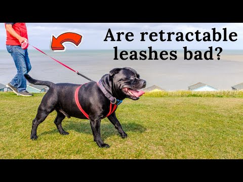 Are retractable leashes bad?
