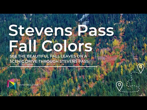 Scenic Drive to see the Fall Colors | Things to do in Bellevue