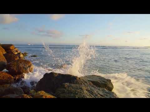 Jazztime- live. Jazz Bar. Crazy Sax