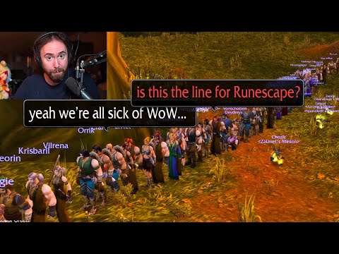 I tried to warn them..