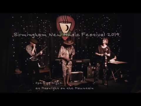 Birmingham New Music Festival 2014 - Davey WIlliams, LaDonna Smith, SI Reasoning, Brad Davis +