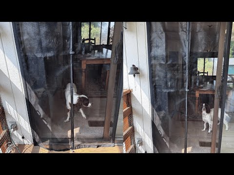 Screen Door 35x80