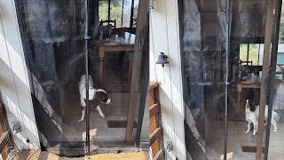 Yotache Magnetic Walk Through Screen Door Review