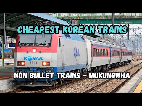 Cheapest Train in Korea l Exploring South Korea's Mugunghwa Trains: A Journey