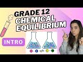 Chemical Equilibrium Introduction Grade 12 Chemistry