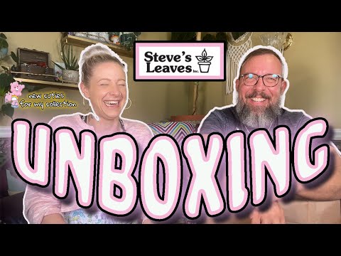 Houseplant Unboxing From Steve's Leaves